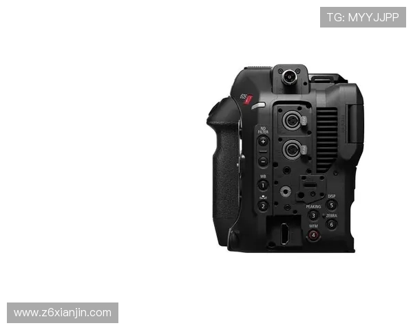 尊龙z6地址登录入口详细流程解析，助你轻松进入尊龙z6平台体验精彩内容