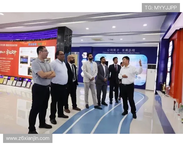 尊龙凯时 印尼：分析尊龙凯时在印尼的品牌影响力与市场份额扩展路径