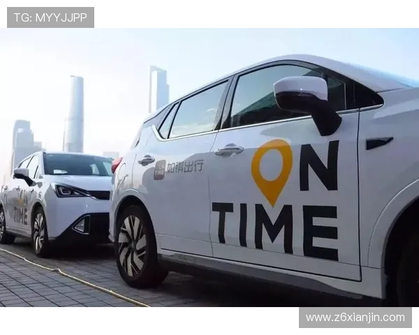 尊龙集团(Z6)如何利用大数据提升企业运营效率与客户体验