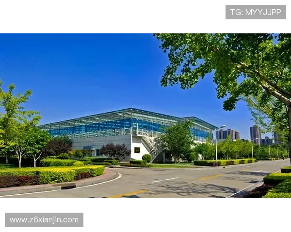 尊龙z6集团：社会责任与可持续发展目标的落实与实践路径