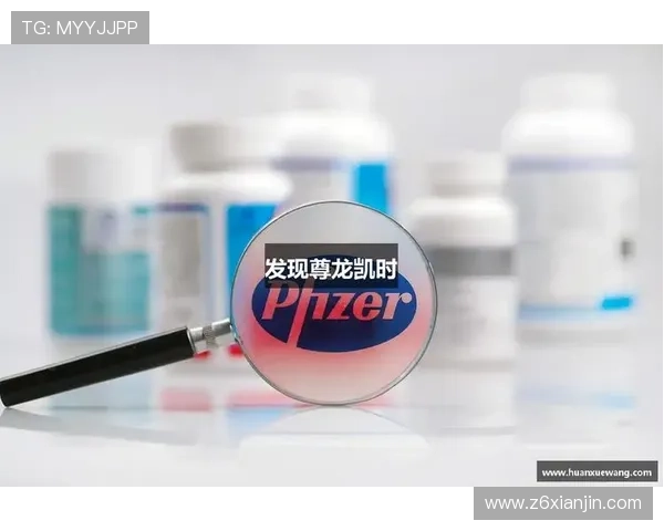 尊龙凯时ag官方入口：最新版本下载与更新流程详解