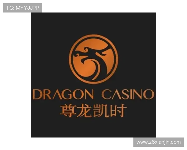 尊龙时凯人生官网电脑版软件下载与安装步骤详解