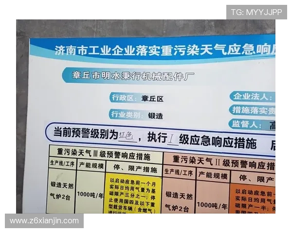 尊龙网站下载最新版本，详细操作指南与安全保障措施