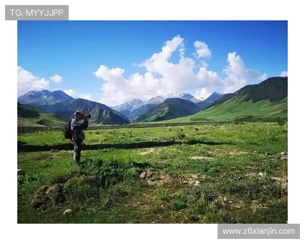 探索尊龙手机官网的独特魅力与用户体验分享之旅