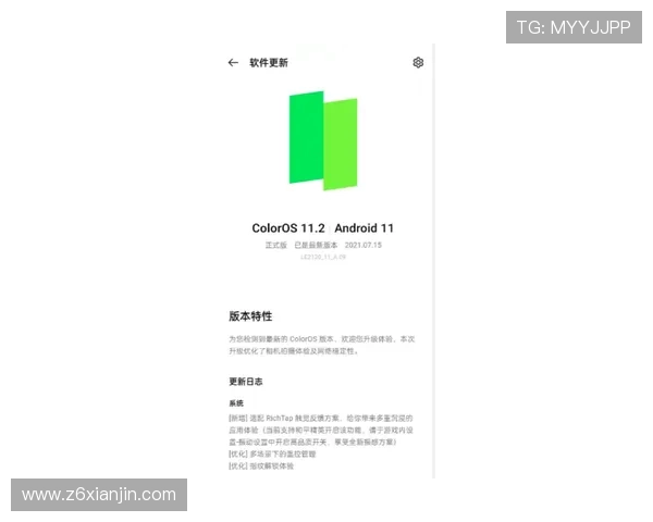 提升用户体验，尊龙凯时账号登录中心的优化建议