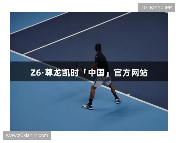 z6尊龙官方网站官网入口官方入口地址及常见问题解决方案详解