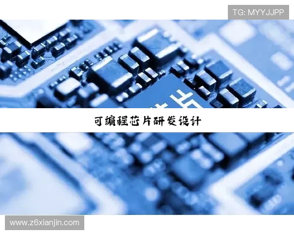 Z6尊龙安卓版最新版本下载与安装指南，全面提升您的游戏体验