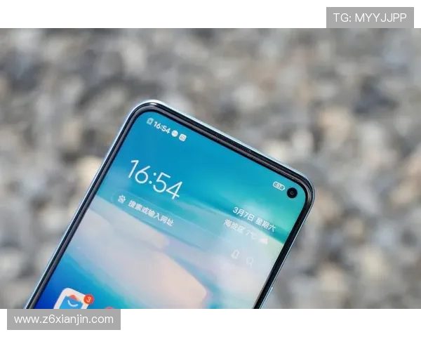 Z6尊龙集团官网用户注册流程与账号安全保障措施全面解析帮助新手快速上手